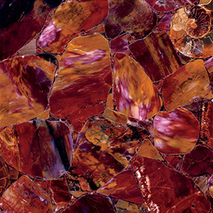 Multicolor Petrified Wood